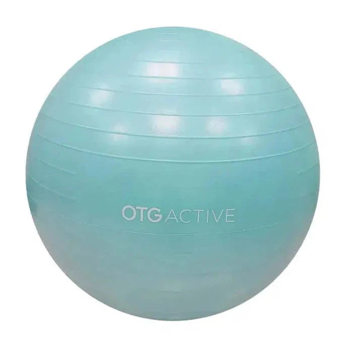 OTG Active Anti-Burst Gym Ball